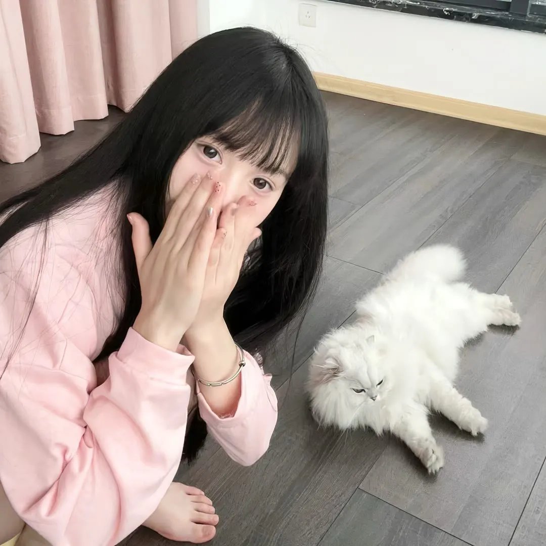 第一夫人的保镖